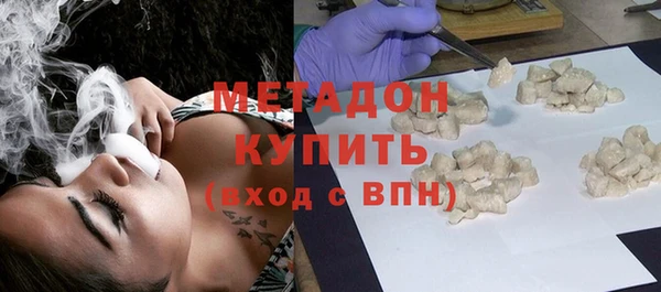 шишки Абаза