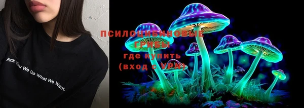шишки Абаза