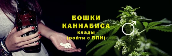 шишки Абаза