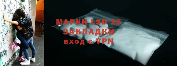 шишки Абаза
