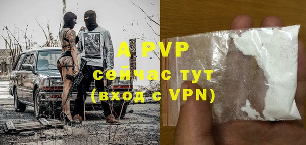 шишки Абаза