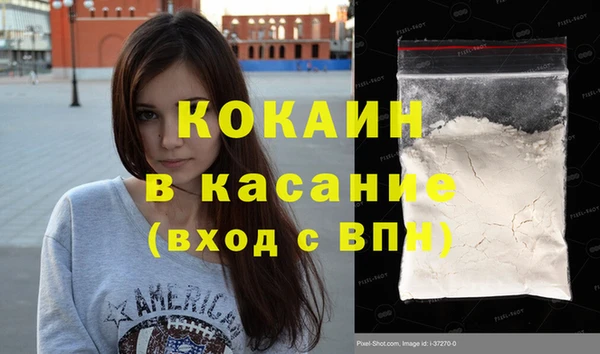 шишки Абаза
