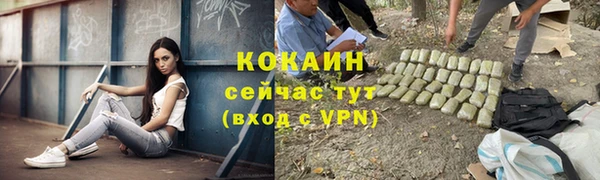 шишки Абаза